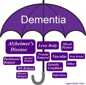 Dementia is the term used to describe several different diseases of the brain which affect memory, language, and more. 